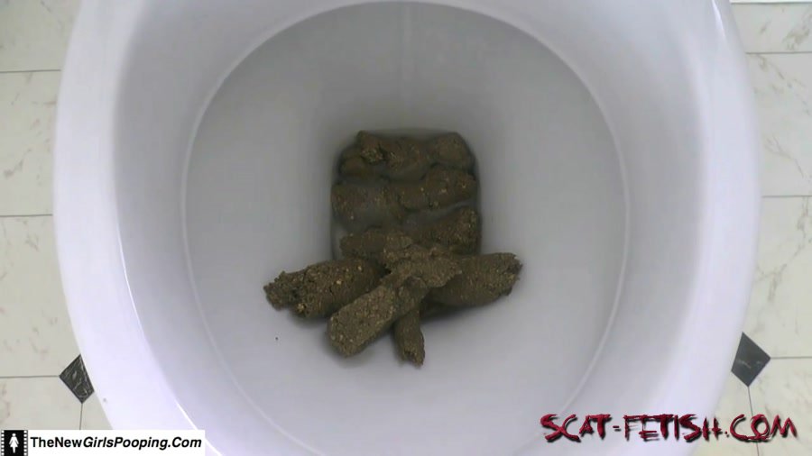 Solo (ShitGirl) Toilet Destroyed In 5 Mins [FullHD 1080p] Scatology, Amateur