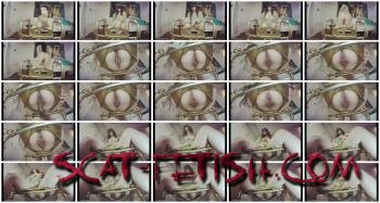 Toilet Slavery (Solo) Another Toilet, Another Mouth To Feed [UltraHD 4K] Scat, Domination