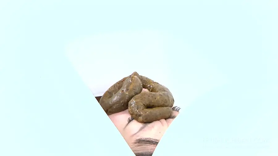Fetish-Tokyo.jp (Japan Girls) The Human Toilet 4 [FullHD 1080p] Scat Humiliation, Japan Scat