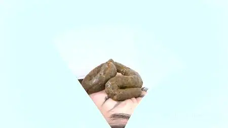 Fetish-Tokyo.jp (Japan Girls) The Human Toilet 4 [FullHD 1080p] Scat Humiliation, Japan Scat