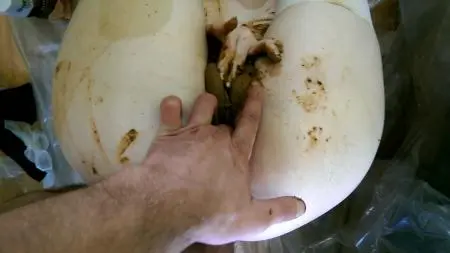 Big Farting Girls (AstraCelestial) Mad Scat Girl. Complete Version PART 3 [FullHD 1080p] Scatology, Scat Sex