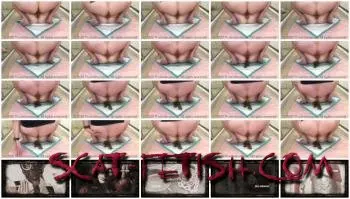 Shitting Girls (Wastedwetness) Lesbians shit together [UltraHD 2K] New scat, Scat Screenshot 1