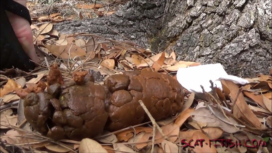Outdoor Scat () Poop 14 [FullHD 1080p] Solo, Smelling