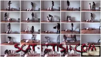Femdom (Lisadomina) Wanna Be Toilet Slave [FullHD 1080p] Domination, Scat Screenshot 1