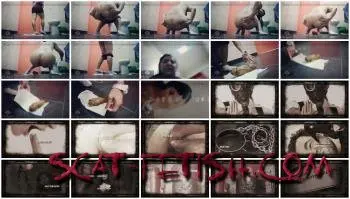 Defecation (Valentynexx) Poo in public bathroom [FullHD 1080p] Scatology, Solo Screenshot 1