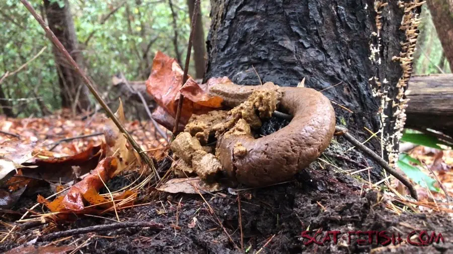Outdoor Scat (Goddesslucy) 4k Huge Snaky Shit Outdoors [UltraHD 4K] Solo, Shit