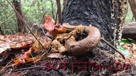 Outdoor Scat (Goddesslucy) 4k Huge Snaky Shit Outdoors [UltraHD 4K] Solo, Shit