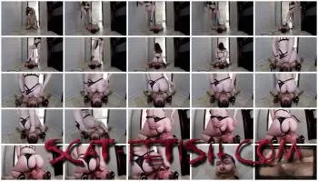 Face Sitting (ElenaToilet) Humiliating Looser to Eat My Shit [FullHD 1080p] Femdom, Eat Shit Screenshot 1