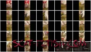 Panty Scat (p00girl) pooping shit double penetration, panties in the ass, smear [FullHD 1080p] Extreme, Solo Screenshot 1