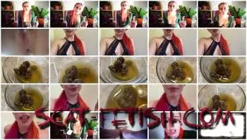Solo (Chronic Goddess) Be My Human Toilet [FullHD 1080p] Shitting Ass, Young Screenshot 1