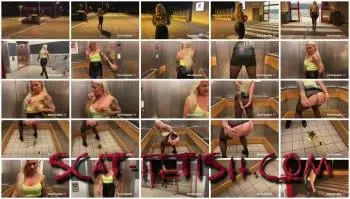 Toilet Slavery (Devil Sophie) In the elevator - So blatant I've never shit O [FullHD 1080p] Solo, Scat Screenshot 1