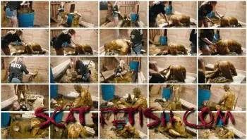 BDSM (Lyndra Lynn) Dung Prison Manure Fetish [FullHD 1080p] Femdom, Strapon Screenshot 1