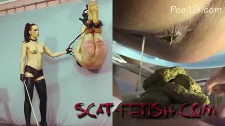 FemdomEmpire.com (Femdom) Wretched animal 2 [HD 720p] Spanking, Human toilet