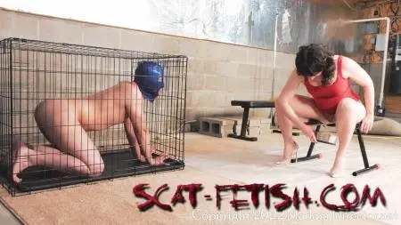 Femdom (Madam Director Lola) No People Food Allowed [UltraHD 4K] Female Domination, Humiliation