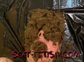 Defecation (Konsti99 aka Scatcouple99) Amateur [HD 720p] Domination, Shit Screenshot 1
