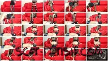 Femdom (marcos579) Shit in You Fuckin Mouth [UltraHD 2K] Eat, Humiliation Screenshot 1