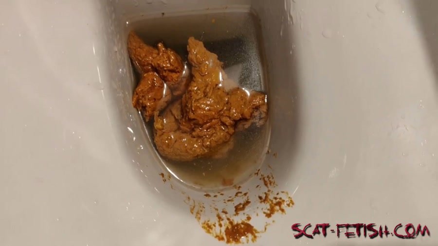 Solo (AinaraX) Big Load in the WC [FullHD 1080p] Piss, Defecation