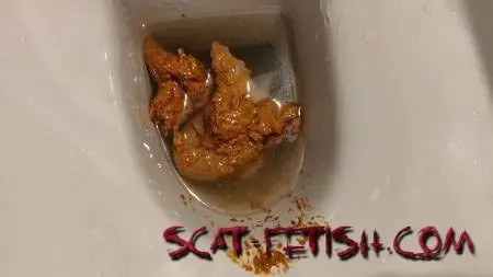 Solo (AinaraX) Big Load in the WC [FullHD 1080p] Piss, Defecation