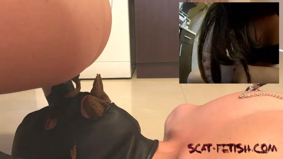 Eat shit (Femdom) All Inclusive I licked the owner’s pussy and she shit in my mouth [FullHD 1080p] Humiliation, Domina