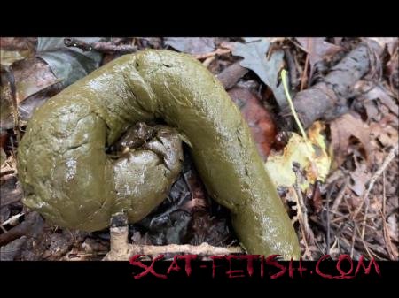 BW Scat (Outdoor) Thick Soft Shit Outside [FullHD 1080p] Mature, Solo