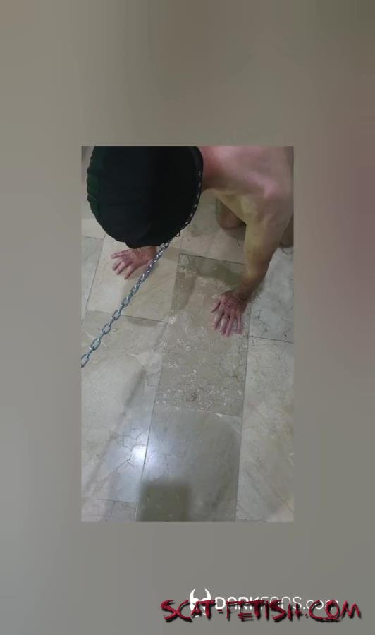 ScatBook (Marbella) Toilet slave, saco al esclavo de la reja para usarlode [FullHD 1080p] Scat, Femdom