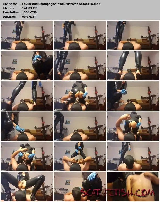 ScatShop.com (Mistress Antonella) Caviar and Champagne [HD 720p] High Boots, Bodystocking Screenshot 1