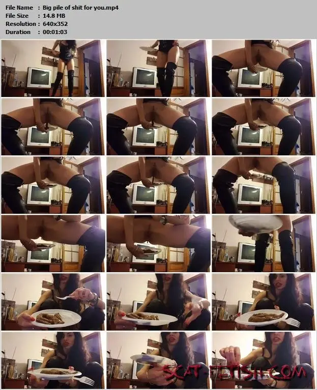 Scat Shop (Goddess Antonella) Big pile of shit for you [SD] Romenian, Toilet Slave Screenshot 1