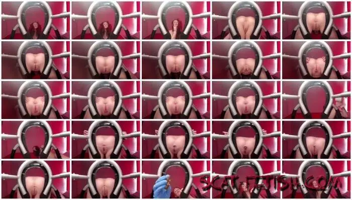 Toilet Slavery (Solo) Eat Shit up from my shaved ass and pussy [FullHD 1080p] Shit, WC Screenshot 1