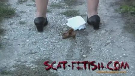 Shitting (OutdoorScat) The woman sat down and took a shit on the street [HD 720p] Solo, Pooping