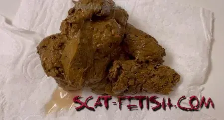 Scatshop (Sophia Sprinkle) August Four Loads on Toilet Seat! [FullHD 1080p] Big Pile, Shitting