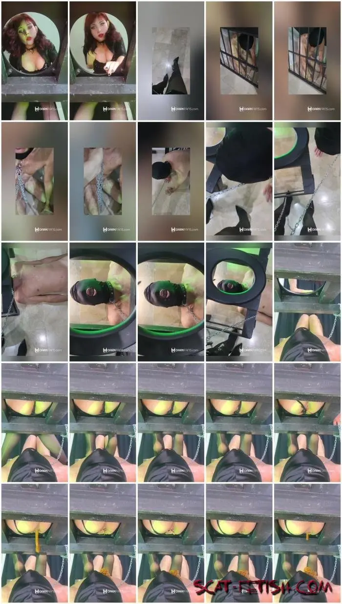 WC (Femdom) Toilet slave, saco al esclavo de la reja para usarlode [UltraHD 2K] Eat Shit, Domination Screenshot 1