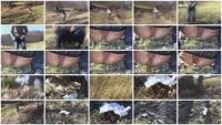 Natural Shit (Solo) Outdoor Pooping Girl far from the city [HD 720p] Outdoor, Shit Screenshot 1