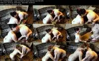 ScatShop.com (Golden Scat Girls) Large Fountains Of Liquid Diarrhea [FullHD 1080p] Scat, Lezdom Screenshot 1