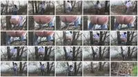 NaturalScatGirls (Poop) Woman shitting from a tree Outdoor [HD 720p] Solo, Defecation Screenshot 1