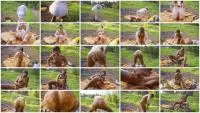 Defecation (Lyndra Lynn) Big Dump In The Woods [UltraHD 4K] Big Pile, Outdoor Screenshot 1