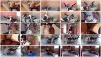 Femdom (Natalia Kapretti) Eat Shit This Your Responsibilities Husband - Toilet [HD 720p] Fisting, Anal, Blowjob Screenshot 1