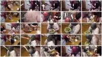 Toilet Slavery (Natalia Kapretti) Feeding, Pushing Down Shit In The Pig’s Throat [FullHD 1080p] Eat Shit, Humiliation Screenshot 1