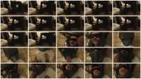 Scathas QueenDom (Femdom) Smothered With Shit [FullHD 1080p] Toilet Slavery, Eat Shit Screenshot 1