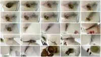 Homemade (The Fart Babes) Shit latest uploads [FullHD 1080p] Defecation, Solo Screenshot 1