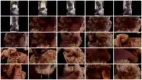 Humiliation (Natalia Kapretti) Morning Feeding My Loser Of The Toilet Bowl [FullHD 1080p] Toilet Slavery, Femdom Screenshot 1