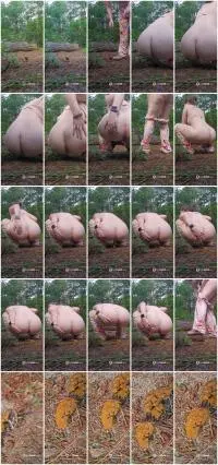 ScatBook (PrincessBabyLuna) Outside in the forest with a bare ass [UltraHD 2K] Outdoor, Defecation Screenshot 1