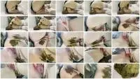 Panty Poop (Bratty College) Huge Shit [FullHD 1080p] Solo, Stocking Screenshot 1