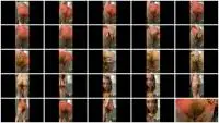 Panty Poop (Layla Lee) Delicious shit cream pie lace panties [FullHD 1080p] Solo, Poop Screenshot 1
