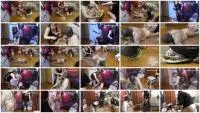 Group Femdom (Natalia Kapretti) Pig Snout Swallow Shit You Not Finish Yet [FullHD 1080p] Gang Bang, Eat Shit Screenshot 1