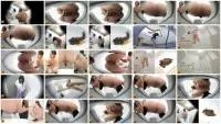 Asian Scat (EE-794) Office ladies pooping with their clothes off and legs spread open! Part - 4 [FullHD 1080p] WC, Solo Screenshot 1