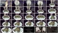 Shitting Ass (LoveRachelle) A Scat Losers Joi To My Shit [FullHD 1080p] Solo, Natural Shit Screenshot 1