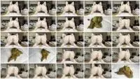 Defecation (BrooklynsBottom) Slo Mo Poops [HD 720p] Smearing, Solo Screenshot 1