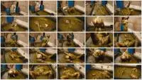 Manurefetish.com (Lyndra Lynn) Cleaning ends in a mess [HD 720p] Cow Shit, Masturbate Screenshot 1