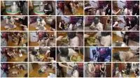 Femdom (Natalia Kapretti) Today Your Dinner – Shit, Pig Snout, Toilet [SD] Domination, Eat Shit Screenshot 1
