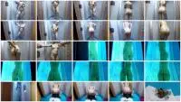 DiabolicSigal.com (Mistress Janet) Shit In Solarium [FullHD 1080p] Smothering, Solo Screenshot 1